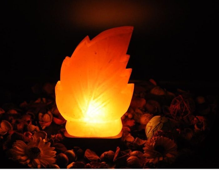 Himalayan Pink Salt Leaf Shape Lamp, Pure & Authentic, Dimmer Switch, Wood Base, Night Light, 9" Height