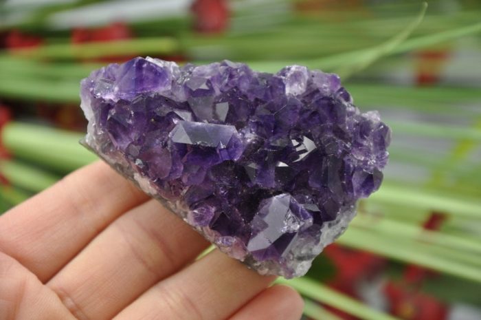 Amethyst Crystal Clusters