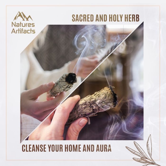 White Sage Smudge Stick | White Sage Sacred Salvia | Home Smudging | Sacred and Holy Herb | Cleanse Your Home and Aura | Sage 4 inch Stick