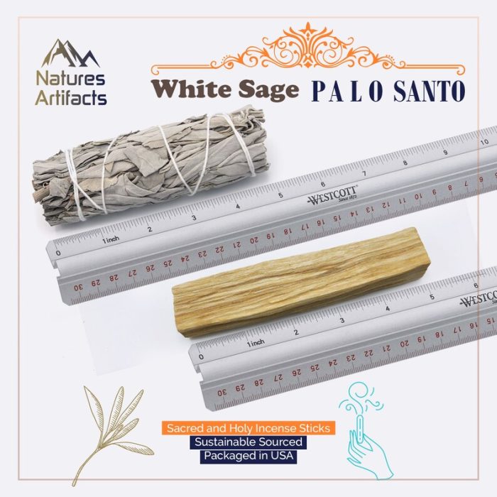 3 California White Sage & 5 Palo Santo Incense Sticks, Smudge Kit, Sustainably Sourced, Premium Quality, Authentic and Sacred, Cleansing