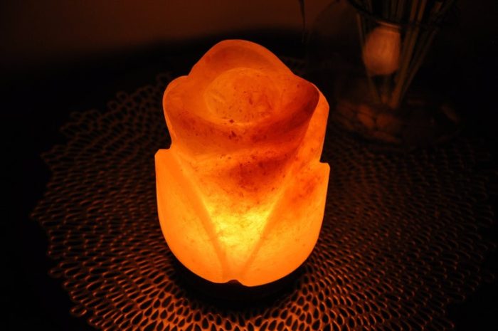 Himalayan Pink Salt Rose Flower Shape Lamp, Authentic, Dimmer Switch, Wood Base, Night Light, 8" Height, an Extra Bulb