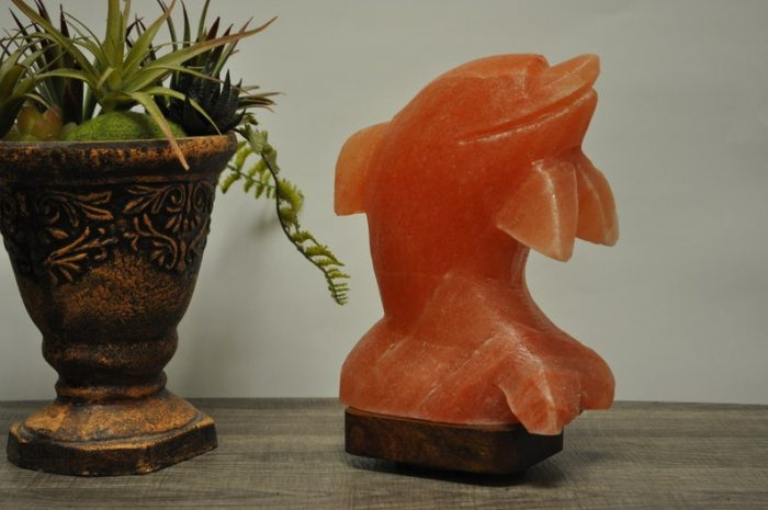 Natural Himalayan Pink Salt Dolphin Shape Lamp, Authentic, Dimmer Switch, Wood Base, Night Light, Home Decor