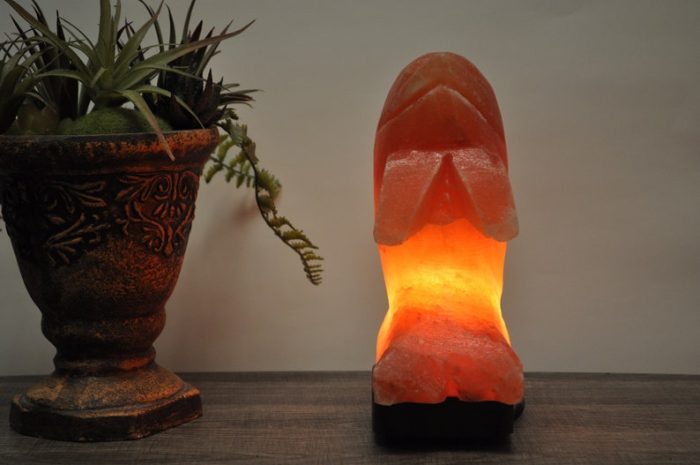 Natural Himalayan Pink Salt Dolphin Shape Lamp, Authentic, Dimmer Switch, Wood Base, Night Light, Home Decor