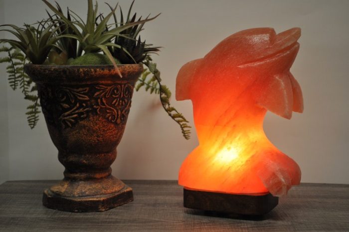 Natural Himalayan Pink Salt Dolphin Shape Lamp, Authentic, Dimmer Switch, Wood Base, Night Light, Home Decor