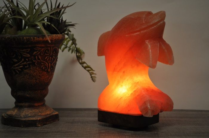 Natural Himalayan Pink Salt Dolphin Shape Lamp, Authentic, Dimmer Switch, Wood Base, Night Light, Home Decor