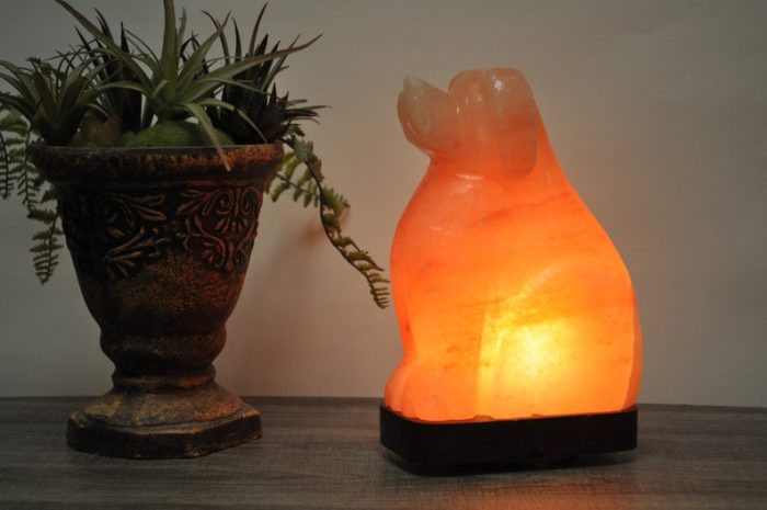 Natural Himalayan Pink Salt Dog Shape Lamp, Authentic, Dimmer Switch, Wood Base, Night Light, Home Decor