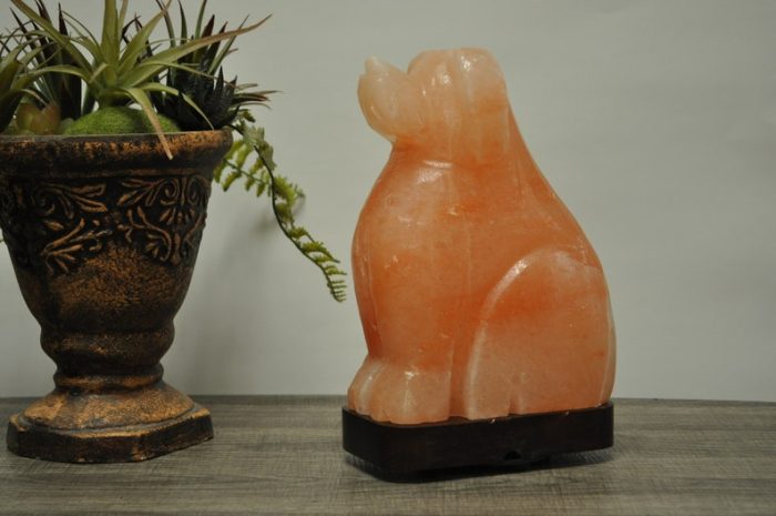 Natural Himalayan Pink Salt Dog Shape Lamp, Authentic, Dimmer Switch, Wood Base, Night Light, Home Decor