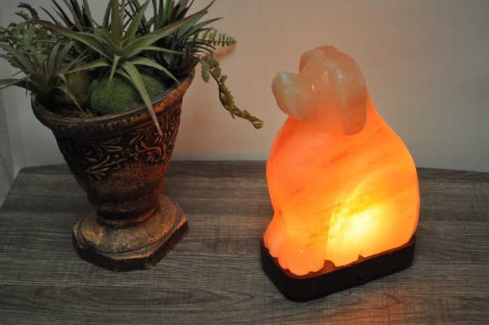 Natural Himalayan Pink Salt Dog Shape Lamp, Authentic, Dimmer Switch, Wood Base, Night Light, Home Decor