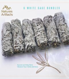 Holiday Season Sale
