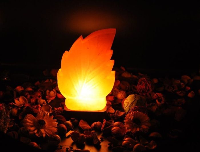 Himalayan Pink Salt Leaf Shape Lamp, Pure & Authentic, Dimmer Switch, Wood Base, Night Light, 9" Height