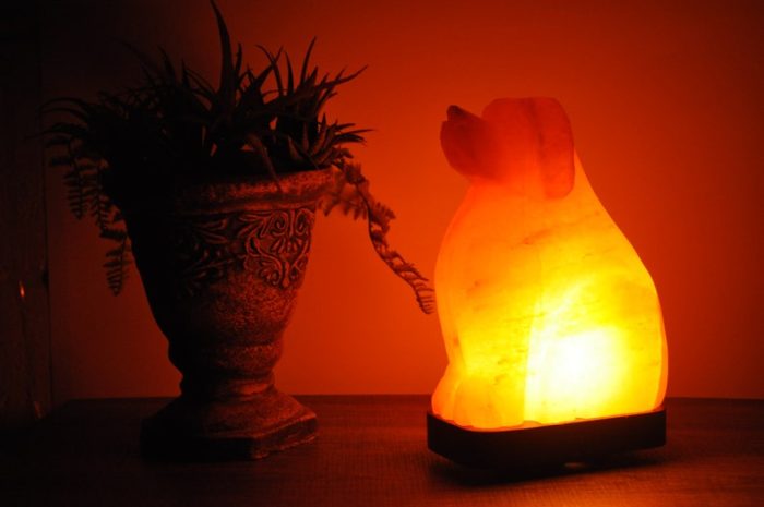 Natural Himalayan Pink Salt Dog Shape Lamp, Authentic, Dimmer Switch, Wood Base, Night Light, Home Decor