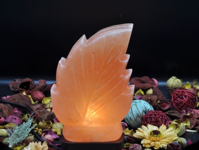 Himalayan Pink Salt Leaf Shape Lamp, Pure & Authentic, Dimmer Switch, Wood Base, Night Light, 9" Height