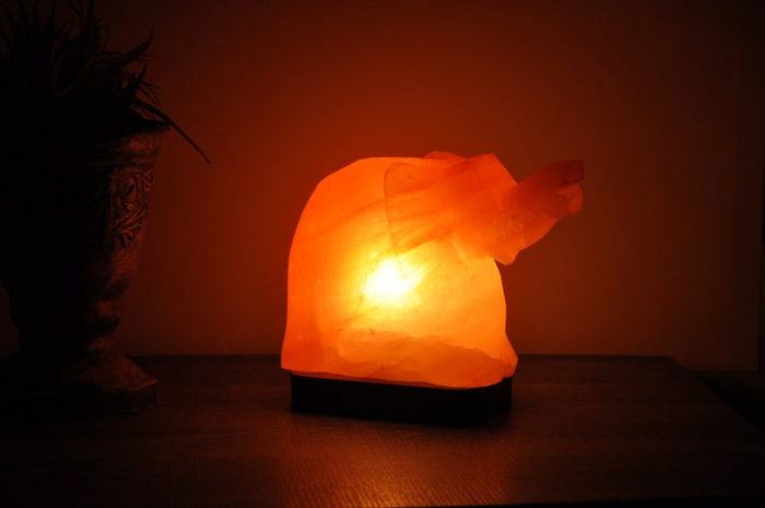 Natural Himalayan Pink Salt Elephant Shape Lamp, Authentic, Dimmer Switch, Wood Base, Night Light