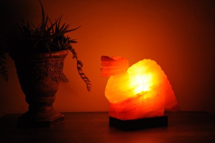 Natural Himalayan Pink Salt Dinosaur Shape Lamp, Authentic, Dimmer Switch, Wood Base, Night Light, Home Decor