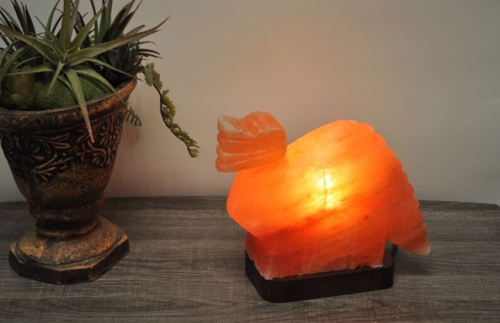 Natural Himalayan Pink Salt Dinosaur Shape Lamp, Authentic, Dimmer Switch, Wood Base, Night Light, Home Decor