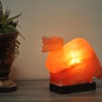 Natural Himalayan Pink Salt Dinosaur Shape Lamp, Authentic, Dimmer Switch, Wood Base, Night Light, Home Decor