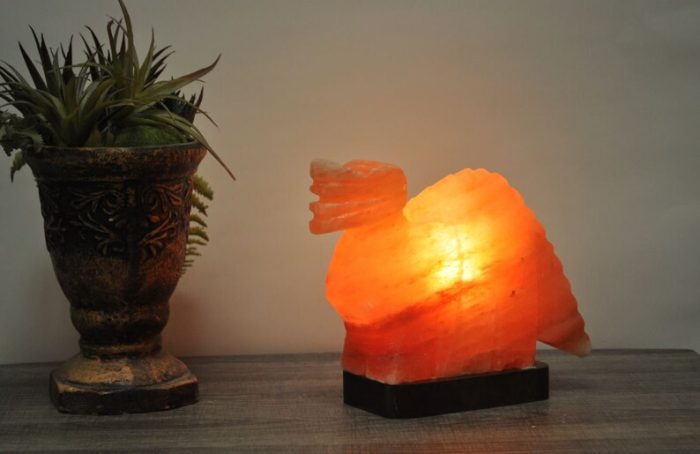 Natural Himalayan Pink Salt Dinosaur Shape Lamp, Authentic, Dimmer Switch, Wood Base, Night Light, Home Decor