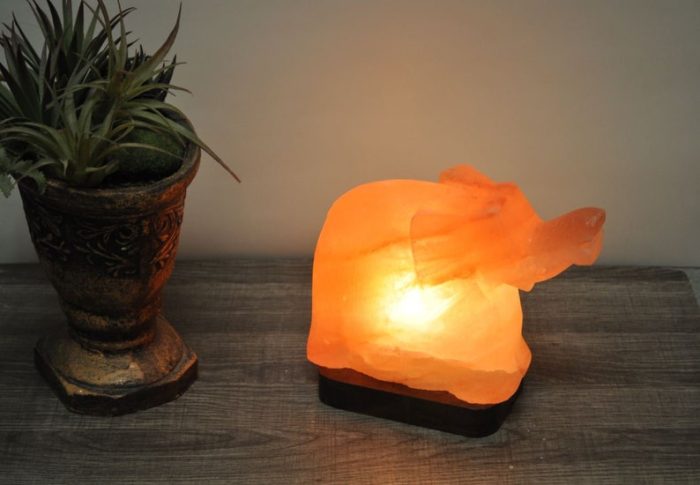 Natural Himalayan Pink Salt Elephant Shape Lamp, Authentic, Dimmer Switch, Wood Base, Night Light