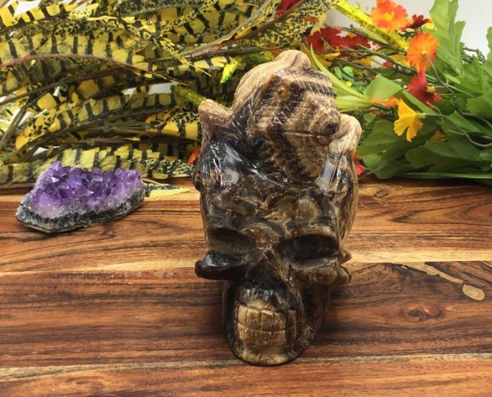 Root Beer Calcite Skull & Chameleon on Top Sculpture | Chocolate Calcite | Realistic Detailed | Healing Crystal | Fine Art Sculpture