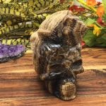 Root Beer Calcite Skull & Chameleon on Top Sculpture | Chocolate Calcite | Realistic Detailed | Healing Crystal | Fine Art Sculpture