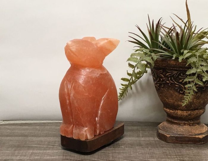 Natural Himalayan Pink Salt Bunny Shape Lamp, Authentic, Dimmer Switch, Wood Base, Night Light, Home Decor