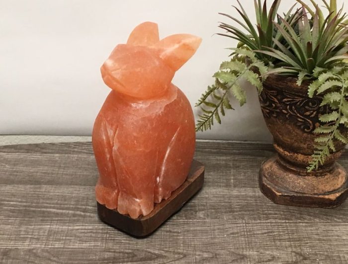 Natural Himalayan Pink Salt Bunny Shape Lamp, Authentic, Dimmer Switch, Wood Base, Night Light, Home Decor