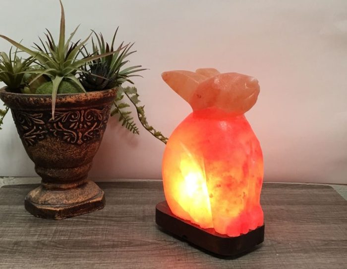 Natural Himalayan Pink Salt Bunny Shape Lamp, Authentic, Dimmer Switch, Wood Base, Night Light, Home Decor