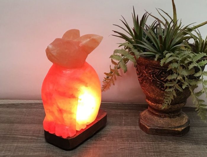 Natural Himalayan Pink Salt Bunny Shape Lamp, Authentic, Dimmer Switch, Wood Base, Night Light, Home Decor