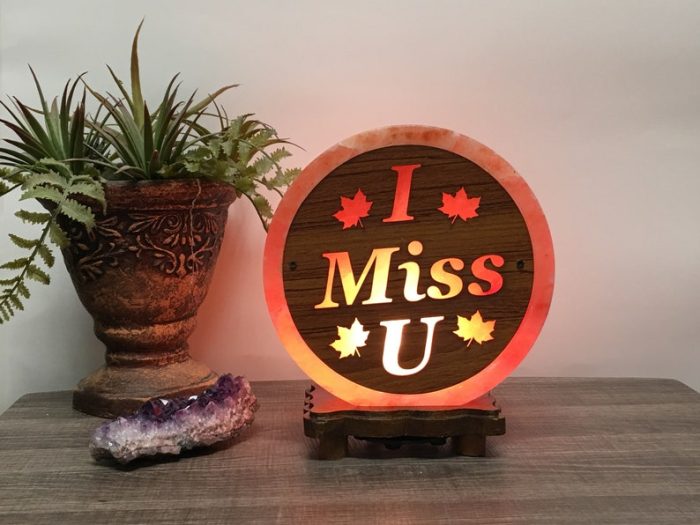 Himalayan Salt Lamp With Carved Wood Sheet, Pink Salt Lamp, Dimmer Switch, Wood Base, Home Decor, an Extra Bulb