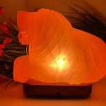 Himalayan Pink Salt Lion Shape Lamp, Authentic, Dimmer Switch, Wood Base, Night Light, Home Decor