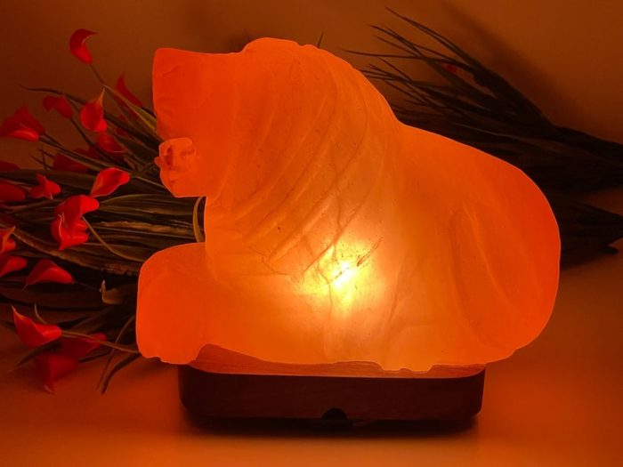 Himalayan Pink Salt Lion Shape Lamp, Authentic, Dimmer Switch, Wood Base, Night Light, Home Decor