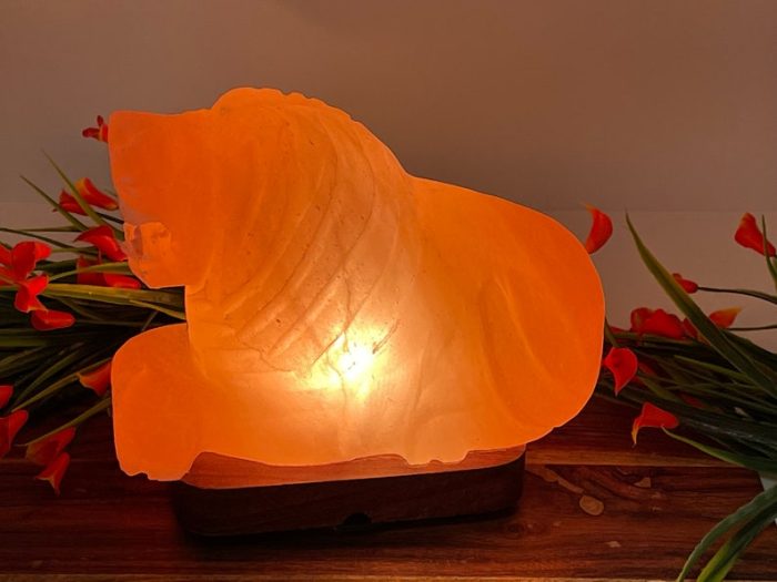 Himalayan Pink Salt Lion Shape Lamp, Authentic, Dimmer Switch, Wood Base, Night Light, Home Decor