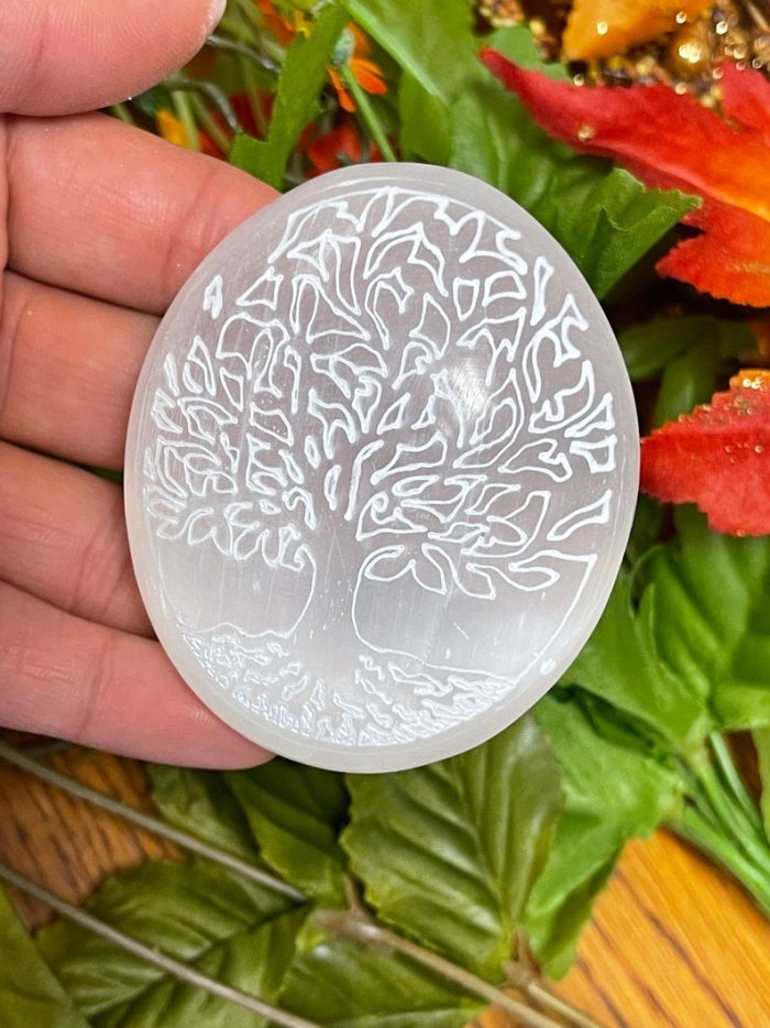 Selenite Palm Stone Etched with Tree of Life Design | Selenite Pocket Stone | Chakra Activator | Reiki | Meditation | Powerful Healer