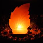 Himalayan Pink Salt Leaf Shape Lamp, Pure & Authentic, Dimmer Switch, Wood Base, Night Light, 9" Height