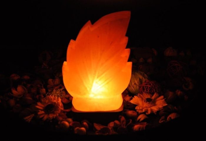 Himalayan Pink Salt Leaf Shape Lamp, Pure & Authentic, Dimmer Switch, Wood Base, Night Light, 9" Height