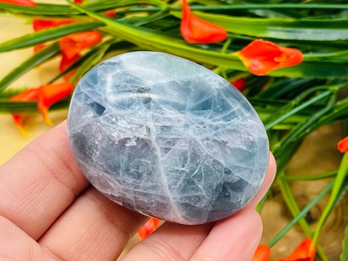 Fluorite Palm Stone | Fluorite Crystals | Healing Gemstone | Cleansing & Balance | Metaphysical Crystal | Massage Stone