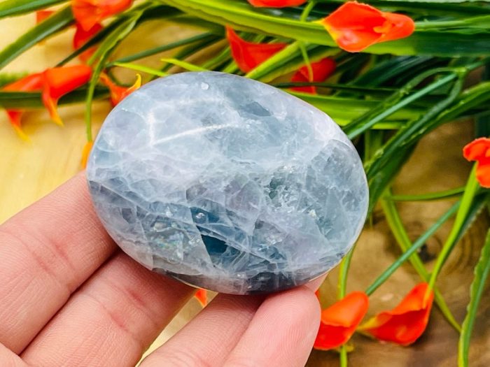 Fluorite Palm Stone | Fluorite Crystals | Healing Gemstone | Cleansing & Balance | Metaphysical Crystal | Massage Stone