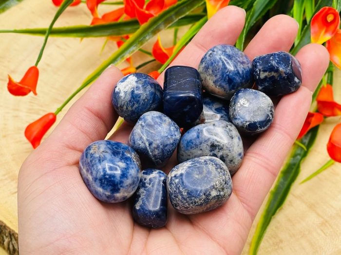 Sodalite Tumbled Stones | Blue Sodalite | Handmade | Polished Gemstones | Healing Crystals & Stones | Third Eye Chakra | Chakra Stone