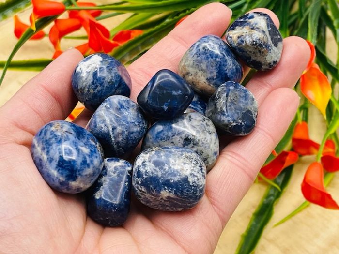 Sodalite Tumbled Stones | Blue Sodalite | Handmade | Polished Gemstones | Healing Crystals & Stones | Third Eye Chakra | Chakra Stone