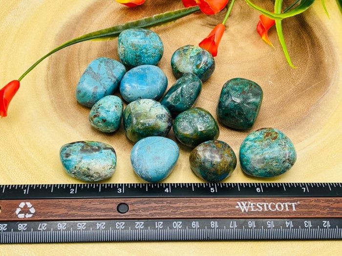 Supreme Quality Chrysocolla Tumbled Stones | Chrysocolla Crystals | Handmade Pocket Stone | Chakra Stones | Reiki | Meditation