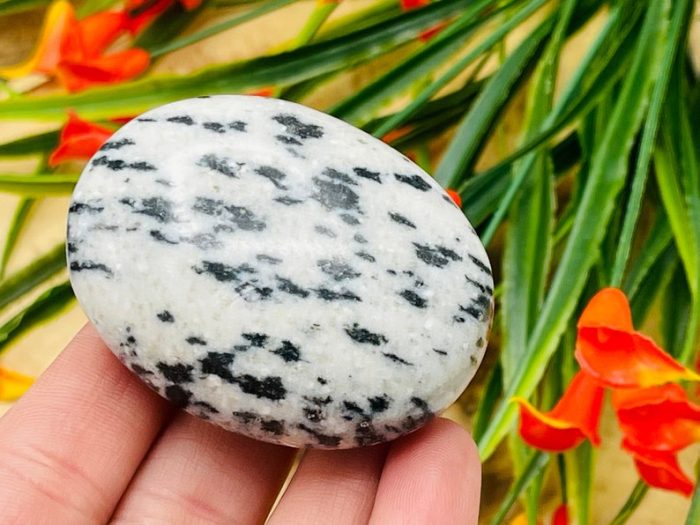 White Tiger Jasper Palm Stone | White Tiger Pocket Stone l Crystal Healing Stone | Soothing & Calming Massage Stone | Stress Reliever