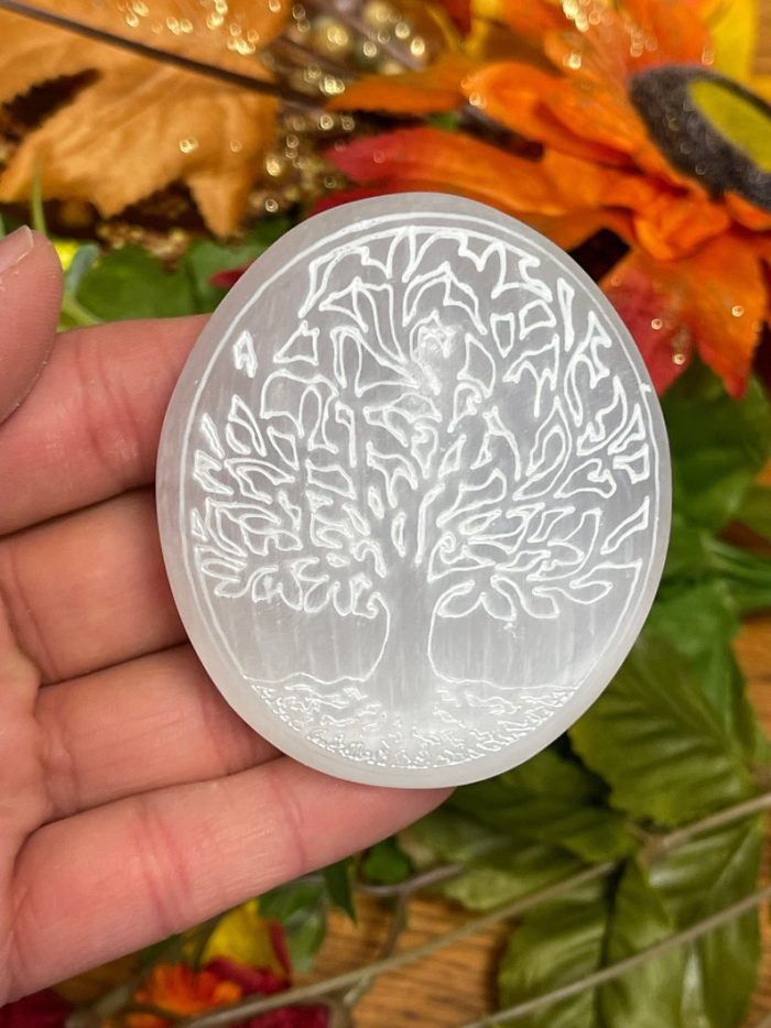 Selenite Palm Stone Etched with Tree of Life Design | Selenite Pocket Stone | Chakra Activator | Reiki | Meditation | Powerful Healer