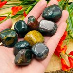Bloodstone Tumbled Stone | Heliotrope Tumbled Gemstone | Bloodstone Jasper Tumbled Crystals | Healing Tumbled Rocks | Heart Chakra