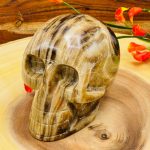 Root Beer Calcite Skull | Chocolate Calcite | Realistic Detailed | Healing Crystal | Fine Art Sculpture | Crystal Skull | Reiki Skull | 5"