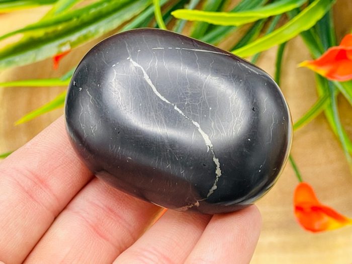 Shungite Palm Stone | Shungite Massage Stone | Pocket Stone | Reiki | Stress Reliever | Highly Energetic Metaphysical | EMF Protection