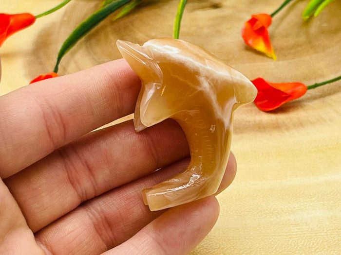 Honey Caramel Calcite Dolphin Figurine | Calcite Crystal Fish | Standing Statuette | Metaphysical | Healing Crystal | Sacred Animal | 2"