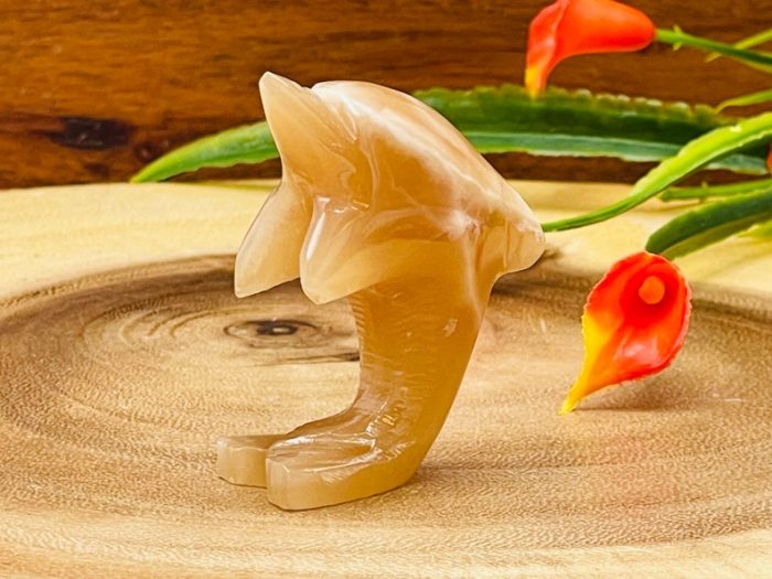 Honey Caramel Calcite Dolphin Figurine | Calcite Crystal Fish | Standing Statuette | Metaphysical | Healing Crystal | Sacred Animal | 2"