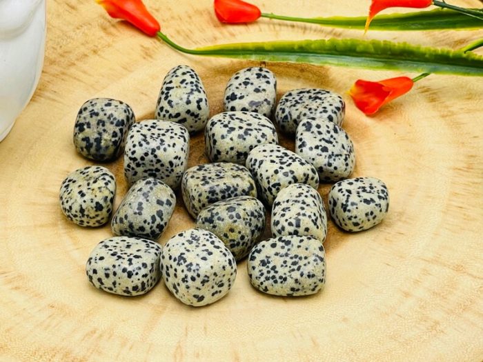 Dalmatian Jasper Tumbled Stones | Pocket Polished Gemstones | Healing Tumbled Crystals | Chakra Tumbled Rocks | Reiki Stone