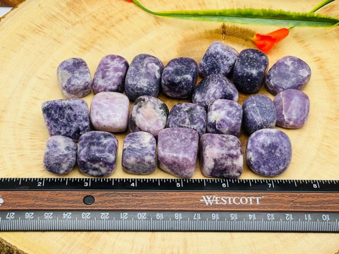 Lepidolite Tumbled Stones | Pocket Polished Gemstones | Lepidolite Healing Tumbled Crystals | Chakra Tumbled Rocks | Reiki Stone