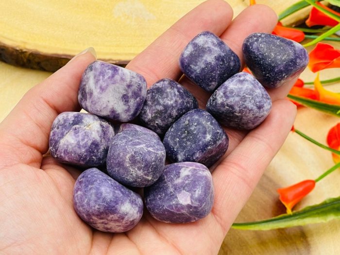 Lepidolite Tumbled Stones | Pocket Polished Gemstones | Lepidolite Healing Tumbled Crystals | Chakra Tumbled Rocks | Reiki Stone